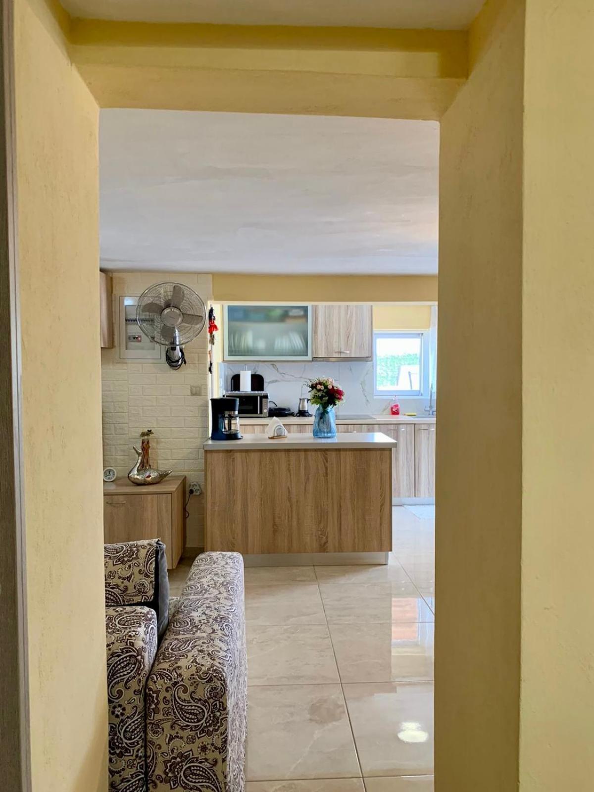 Sofia'S Seaview Villa Near Airport And Beach Артеміда Екстер'єр фото