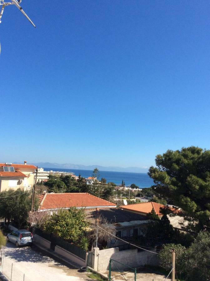 Sofia'S Seaview Villa Near Airport And Beach Артеміда Екстер'єр фото