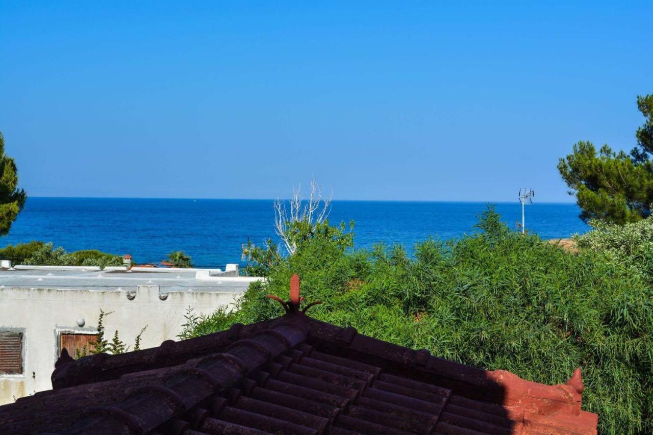 Sofia'S Seaview Villa Near Airport And Beach Артеміда Екстер'єр фото