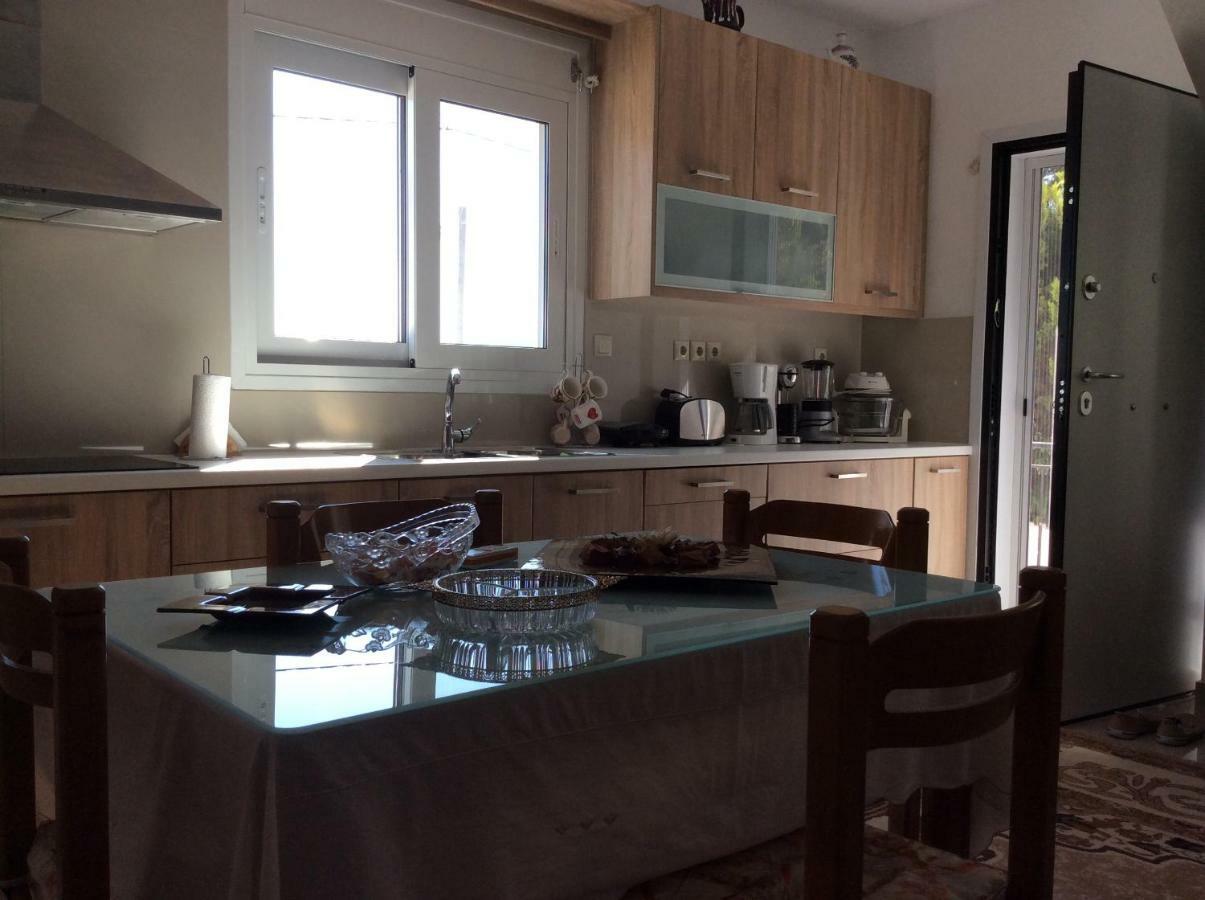 Sofia'S Seaview Villa Near Airport And Beach Артеміда Екстер'єр фото