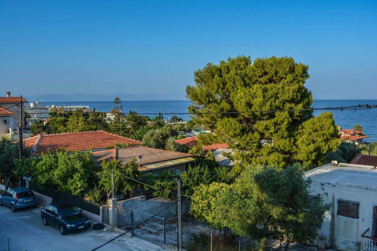 Sofia'S Seaview Villa Near Airport And Beach Артеміда Екстер'єр фото